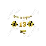 Rafya Ipli 13 Yaş Gold Folyo Balon Iyiki Doğdun Yazılı Banner Balon Set Doğum Günü