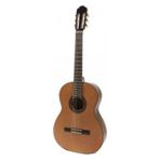 Raimundo Model 120E Sedir Elektro Klasik Gitar