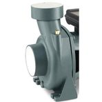 Rain Pump SHFM6C Monofaze Santrifüj Pompası