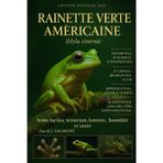 Rainette verte américaine (Hyla cinerea): Soins faciles, terrarium, lumière, humidité et santé