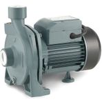 Rainpump CPM158 Santrifuj Pompa