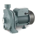 Rainpump CPM170 Santrifuj Pompa
