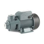 Rainpump QB60 Santrifuj Pompa