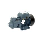 Rainpump QB80 Santrifuj Pompa