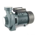 Rainpump SHFM5AM Santrifuj Pompa