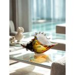 Rakun Home Murano Cam Renkli Deniz Kabuğu Objesi | Üfleme Cam Tekniğiyle El Yapımı - 23 x 13 cm