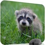 Rakun Oyuncu Gaming Mouse Pad Kauçuk Kaymaz Taban Mousepad (V5, 48x40 XXL)