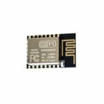 Rakun Robotik ESP-12E ESP8266 Wifi Modülü