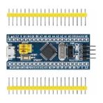 Rakun Robotik STM32F103C6T6 Geliştirme Kartı