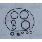 Ramzey Cub 100 Motor O-ring Seti