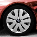 Rand Auto Skoda Forman 14 Inç Uyumlu Jant Kapağı Amblemli Gri 4'lü Takım 105