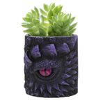 Ranley İç mekan bitki saksısı, çiçek saksısı | Dragon Eye Flower Pot | yaratıcı şık reçine vazo ev iş yeri bahçe dekorasyonu çalışma masası için fantezi tasarımlı