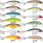 Rapala BAP 50 mm X-Rap Countdown Sahte Balık