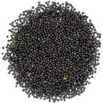 Rapiska Tohumu Kanola Tohumu Şalgam Tohumu 1 Kg