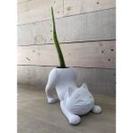 Rapithwin Kedi Kaktüs Saksı (Çiçeksiz Gönderilecektir) 20 cm - Beyaz