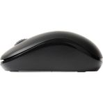 Rapoo M10PLUS 1000DPI Wireless Kablosuz Optik Siyah Mouse