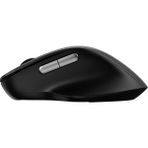 Rapoo M50PLUS Kablosuz 1000 Dpı Siyah Mouse - Renkli
