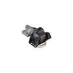 Rapro Motor Takozu ( Peugeot 307 2.0Hdı 8V)