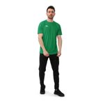 Raru Velox Yeşil Erkek T-shirt