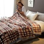 Raschel Battaniye Kore Battaniyesi 2 Katlı 8 Lb Battal Boy - İpeksi Yumuşak Sıcak 2 Katlı Kalın Peluş Düz Yatak Battaniyesi 79 x 91 inç Çekyat Yatak Odası Oturma Odası için, E, 150 x 200 cm / 2,5 kg