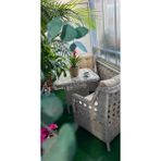 Rattan Bahçe Takım - Balkon Takımı 1+1 - Bej - Krem
