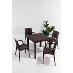 Rattan Kahve Kollu 4 Sandalye Masa Takımı - Bahçe&Balkon&Teras