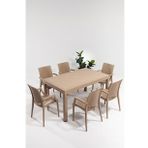 Rattan Lüx Dikdörtgen Cappucino Masa Takımı Bahçe&Balkon