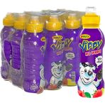 Rauch 330 ml Yippy Kırmızı Meyveler Meyve Suyu