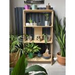 Raul Plywood Çok Amaçlı Duvar Rafı Kitaplık Çiçeklik Salon Banyo Çalışma Odası 4 Raflı