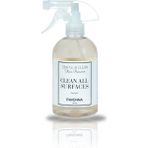 Ravenna Simple&clean Ultra Güçlü Leke Çıkarıcı ve Ayakkabı Temizleyici Sprey 500 ml Konsantre Formül