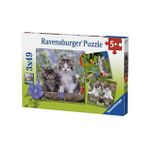 Ravensburger 3x49 Parça Kedi Yavruları Puzzle