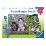 Ravensburger 3x49 Parça Tiger Babies Çocuk Puzzle
