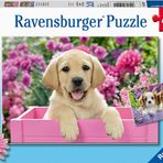 Ravensburger Friends 2x24 Puzzle