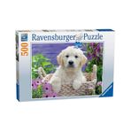 Ravensburger Golden Retriever 500 Parça Puzzle