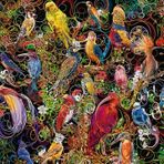 Ravensburger Kuşlar 1000 Parçalı Puzzle