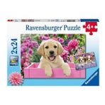 Ravensburger RPK050291 Friends 2x24 Parça Puzzle