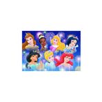 Ravensburger Walt Disney Prensesler 2x24 Parça Puzzle