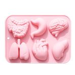 Raxove Vücut Organ Kalıpları, Organ Silikon Kalıp | İnsan Kalbi Beyin Çikolata Kalıbı | 6-Cavity Simülasyon İnsan Organları Fondan Çikolatalı Kek Şeker Bisküvi Buz Kalıp Mutfak Pişirme Araçları