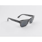 Ray-Ban 0RB 2283 1314R5 52 Kadın Güneş Gözlüğü