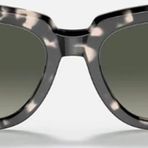 Ray-Ban 0RB2186 133371 49 Gri Havana Kadın Güneş Gözlüğü