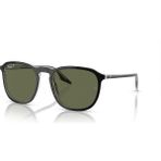 Ray-Ban 0RB2203 919/58 52 Unisex Güneş Gözlüğü