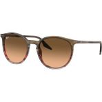 Ray-Ban 0RB2204 13953B 51 Kadın Güneş Gözlüğü - Kahverengi
