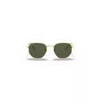 Ray-Ban 0RB3548 919631 54 Ekartman Unisex Güneş Gözlüğü