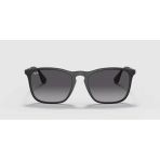 Ray-Ban 0RB4187 622-8G S54 T145 Unisex Güneş Gözlüğü