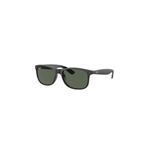 Ray-Ban 0RB4202 606971 55 Erkek Güneş Gözlüğü