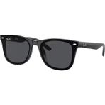 Ray-Ban 0RB4420 601 87 65x18x145 Erkek Güneş Gözlüğü