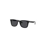 Ray-Ban 0RB4420 601/87 65 Unisex Güneş Gözlüğü
