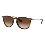 Ray-Ban 4171 865.13 54 Erika Unisex Güneş Gözlüğü