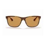 Ray-Ban 4181 710-83 57 Unisex Güneş Gözlüğü