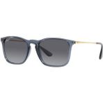 Ray-Ban 4187 6593/T5 54-18-145 Kadın Güneş Gözlüğü - Mor